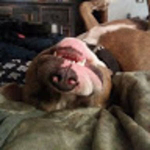 Meet your Posher, Shay